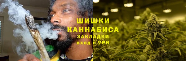 прущие грибы Слюдянка